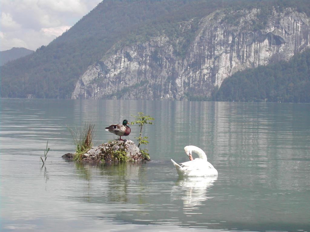 Landhaus Leitner Am Wolfgangsee St. Gilgen Zewnętrze zdjęcie